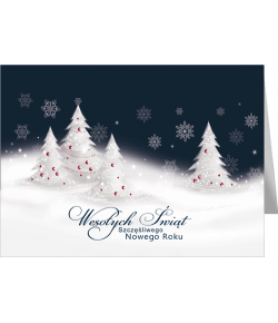 Pejzaż zimowy karnet bez tekstu GD-BT 91