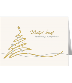 Karnet świąteczny bez życzeń T-BT 6