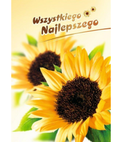 Kartka z Serdecznymi życzeniami  FF 1204