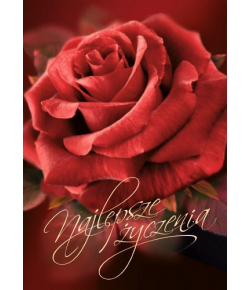 Serdeczne życzenia kartka z tekstem  FF 1228